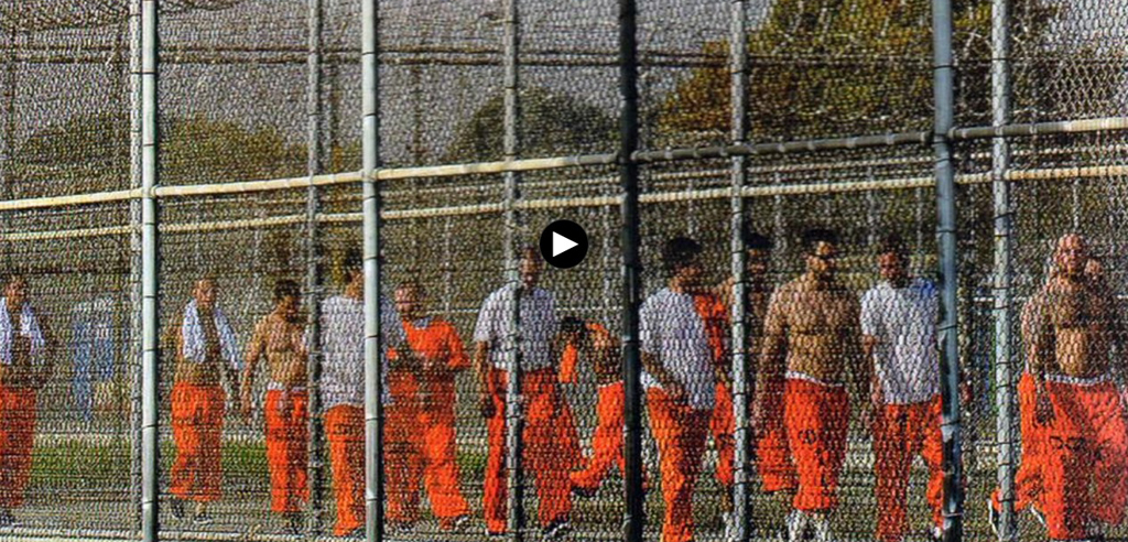 Pbs: America's Incarcerated 