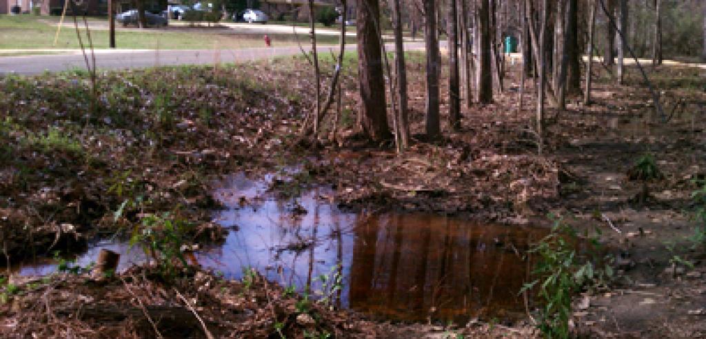 Poor Alabama Residents Fighting For Sewage and Wastewater Management