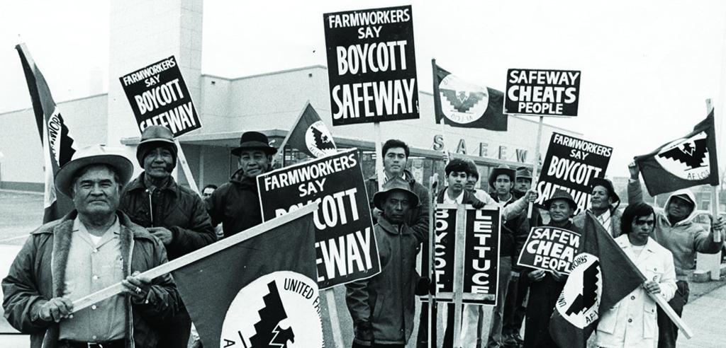 the-farmworkers-movement